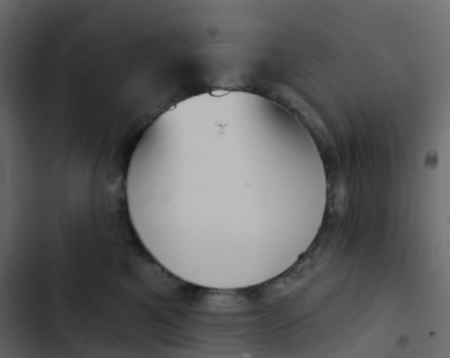 X0000102870521200809021450