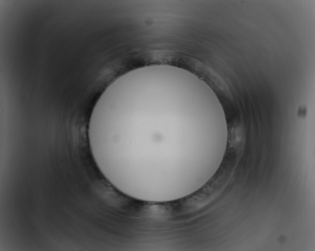 X0000102870522200809021450