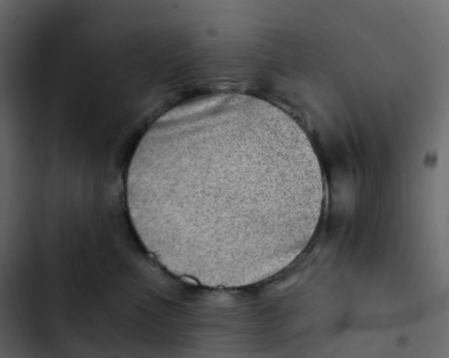 X0000102870523200809021450