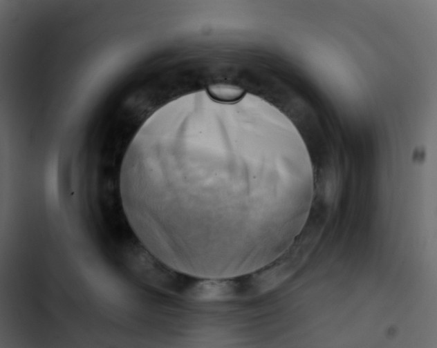 X0000102870526200809021450