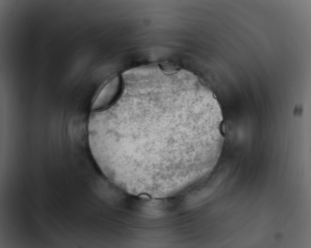 X0000102870527200809021450