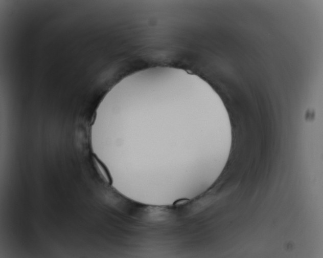 X0000102870528200809021450