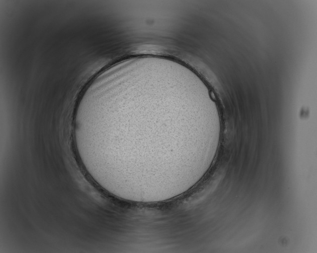 X0000102870529200809021449