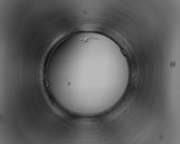 X0000102870530200809021449