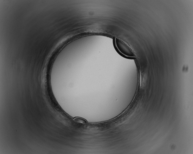 X0000102870531200809021449