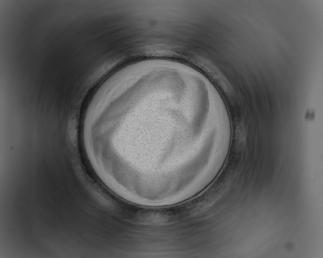 X0000102870533200809021449