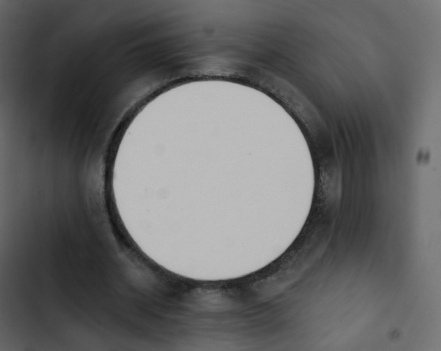 X0000102870534200809021449