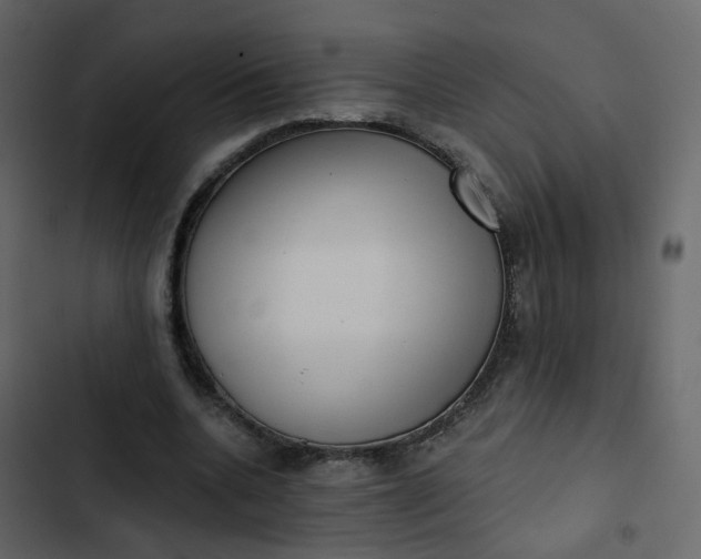 X0000102870536200809021449