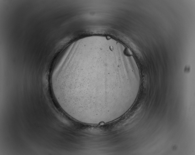 X0000102870537200809021449