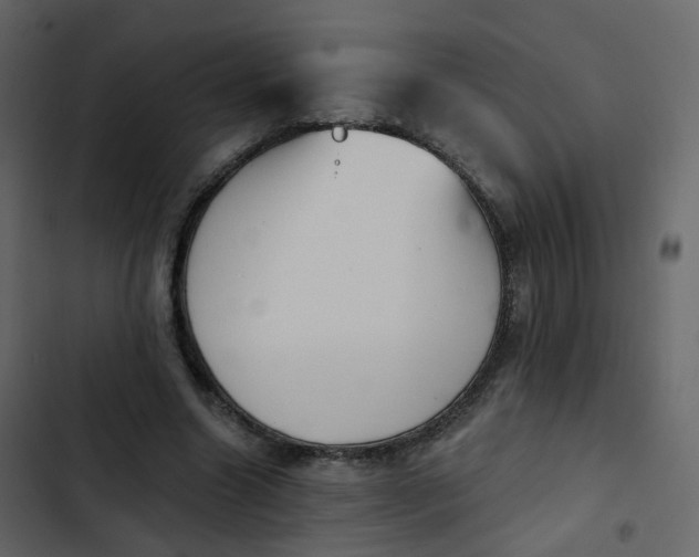 X0000102870538200809021450