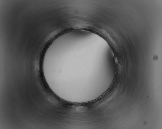 X0000102870539200809021450