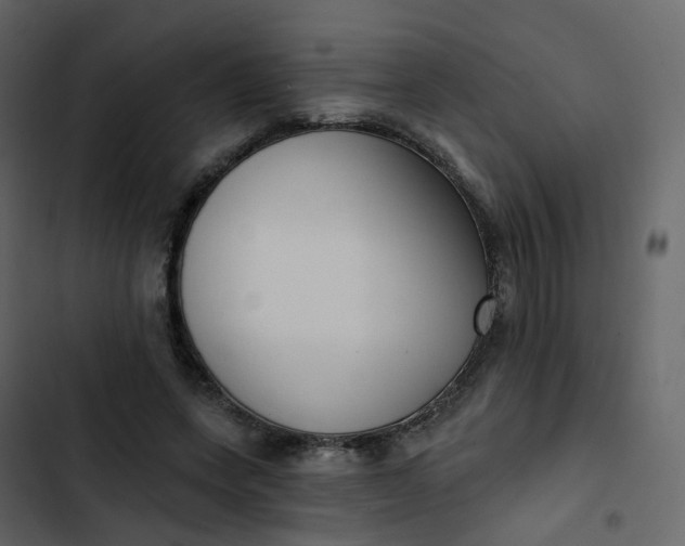 X0000102870543200809021450