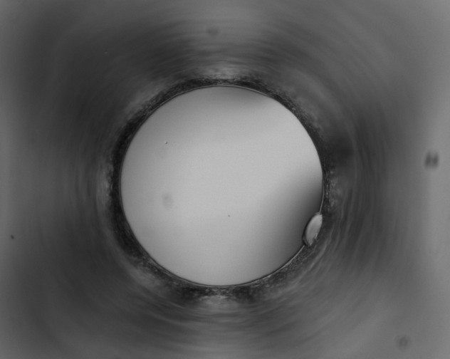 X0000102870544200809021450