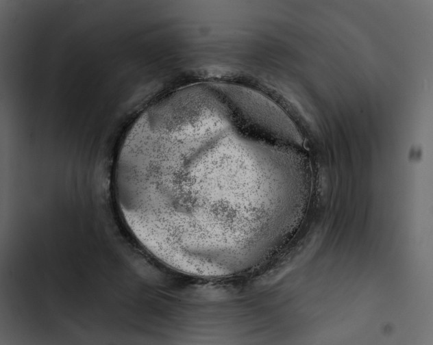 X0000102870545200809021450