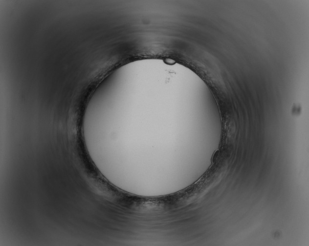 X0000102870546200809021450