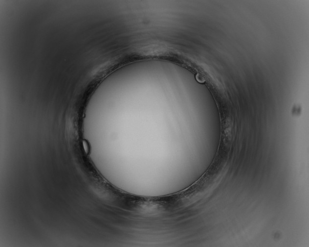 X0000102870547200809021450