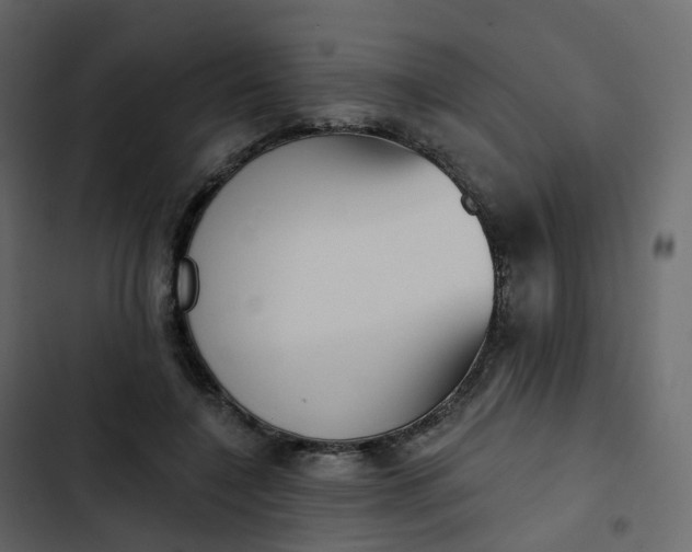 X0000102870548200809021450