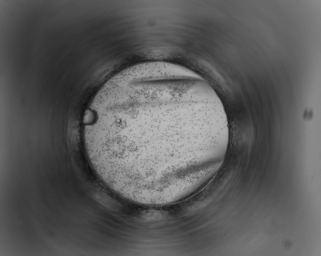 X0000102870549200809021450