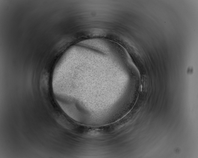 X0000102870550200809021450