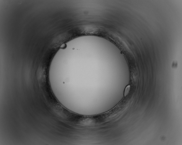 X0000102870551200809021450