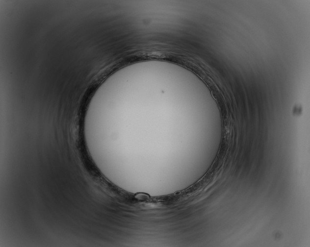 X0000102870552200809021450