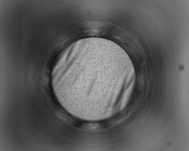 X0000102870554200809021450