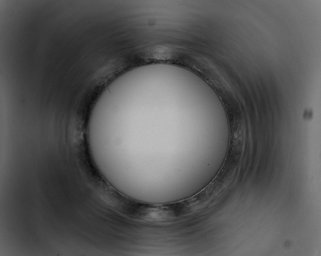 X0000102870555200809021450