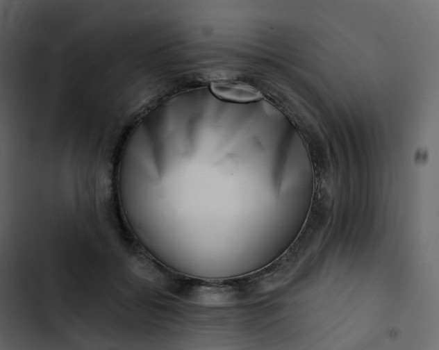 X0000102870556200809021450