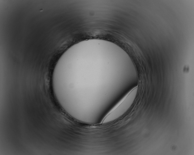 X0000102870558200809021450