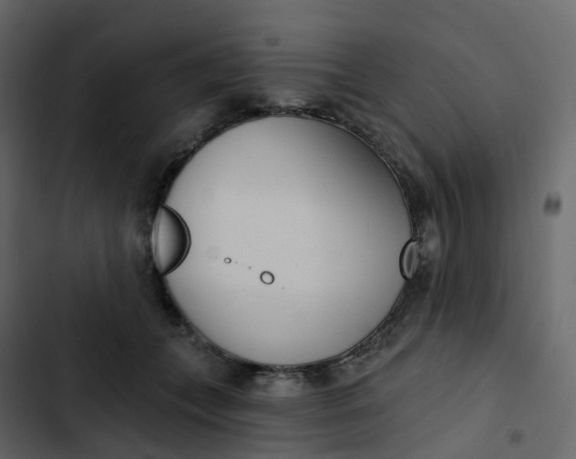 X0000102870559200809021450