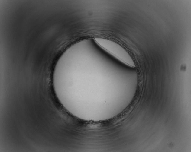 X0000102870560200809021450