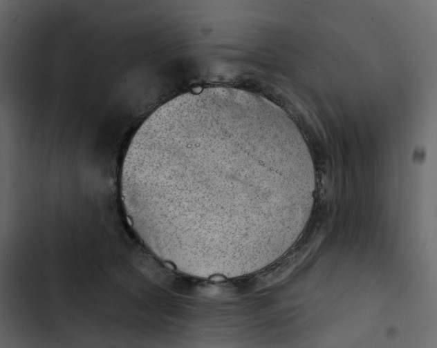 X0000102870561200809021450