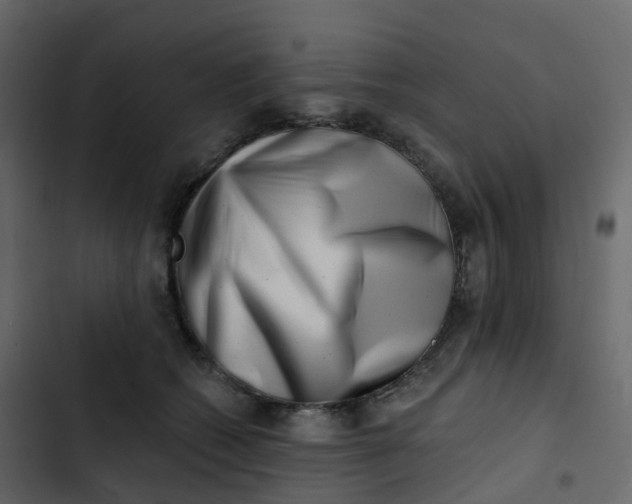 X0000102870562200809021450