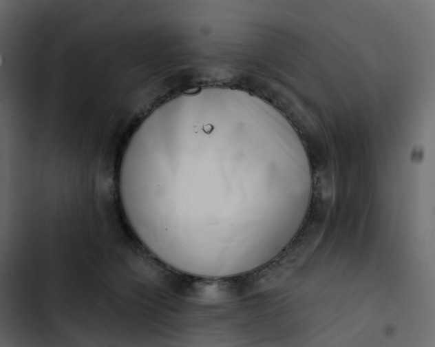 X0000102870564200809021450