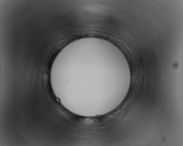 X0000102870566200809021450