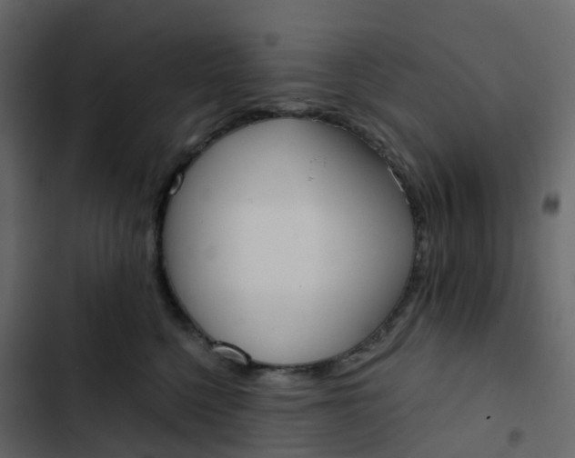 X0000102870568200809021450