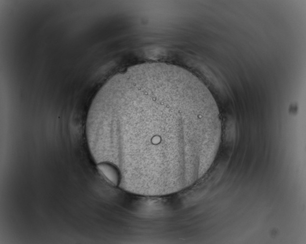 X0000102870569200809021450