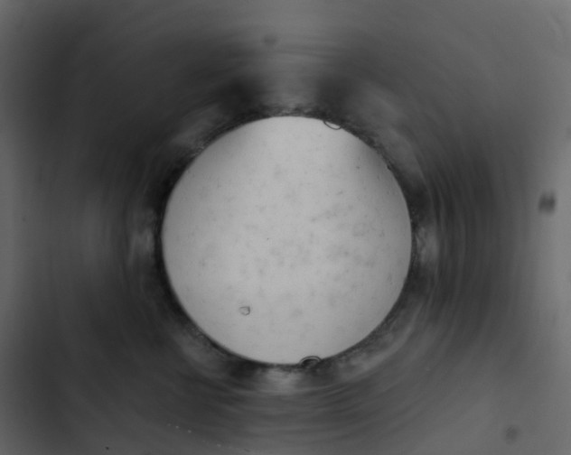 X0000102870570200809021450