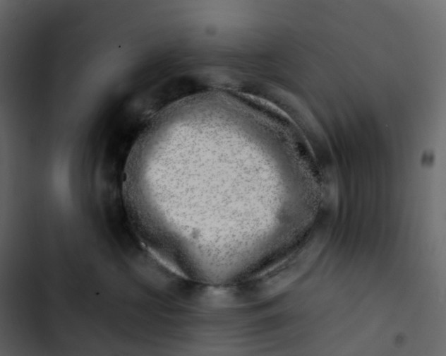 X0000102870573200809021450