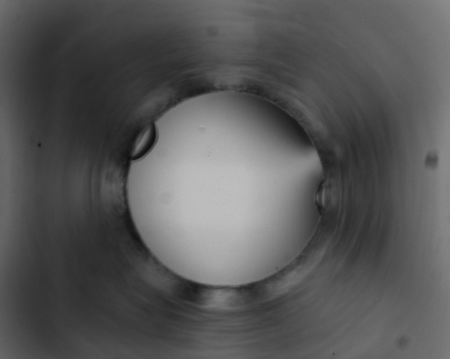 X0000102870575200809021450