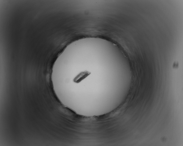 X0000102870576200809021450