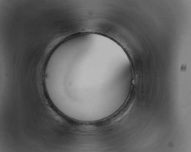 X0000102870577200809021449