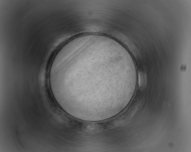 X0000102870579200809021449