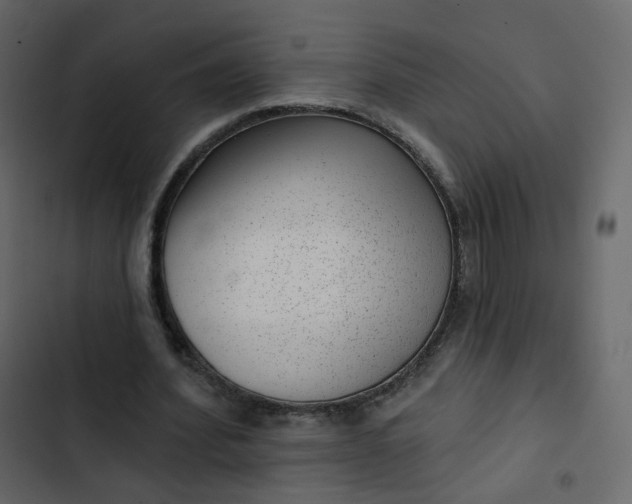 X0000102870580200809021449