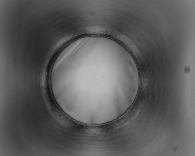 X0000102870583200809021449