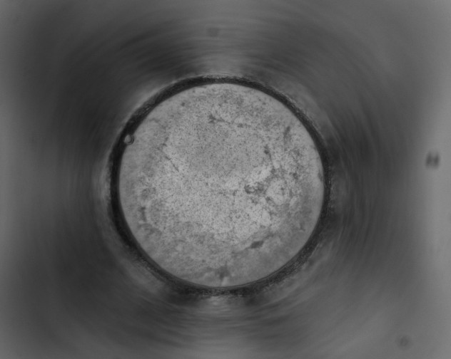 X0000102870584200809021449