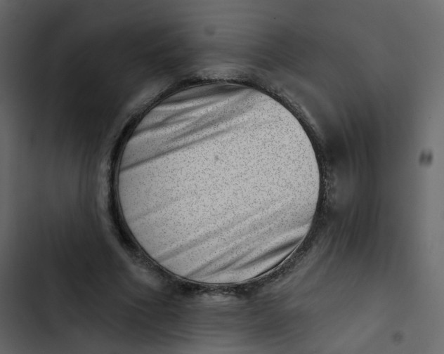 X0000102870586200809021449