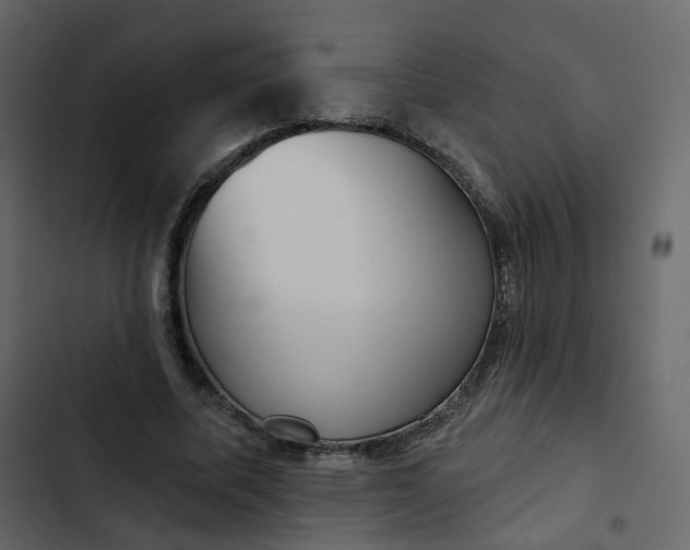 X0000102870587200809021449