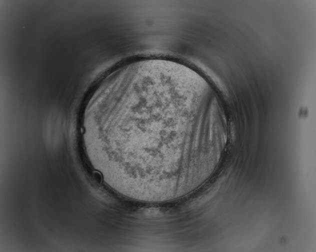 X0000102870588200809021449