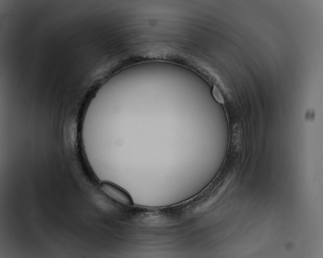 X0000102870589200809021449